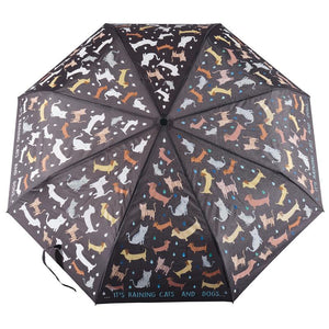 Colour Changing Umbrella - Cats & Dogs